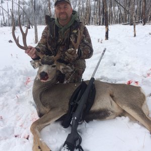 Mule Deer Hunt Idaho