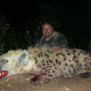 Spotted Hyena Hunt