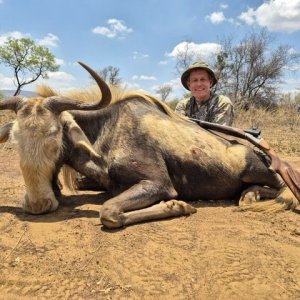 Kings Wildebeest Hunt South Africa