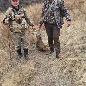 Roe Deer Hunt Kazakhstan