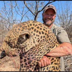 Leopard Hunt South East Lowveld Zimbabwe