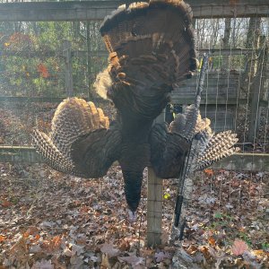 Turkey Hunting