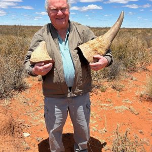 White Rhino Hunt Northern Cape South Africa