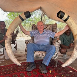 Elephant Tusks Botswana