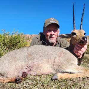 Grey Rhebok Hunt Eastern Cape South Africa