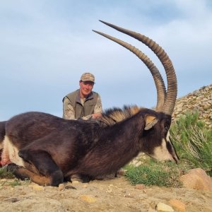 Sable Hunt Eastern Cape South Africa