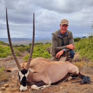 Gemsbok Hunt Eastern Cape South Africa