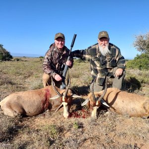 Blesbok Hunt Eastern Cape South Africa