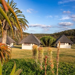 Accommodation Eastern Cape South Africa