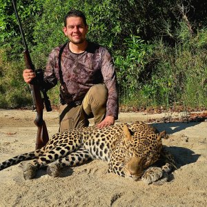 Leopard Hunt Mozambique