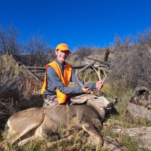 Mule Deer Hunting