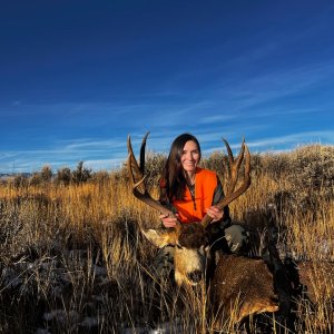 Mule Deer Hunting