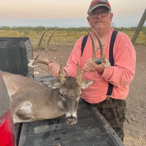 Whitetail Deer Hunt Texas