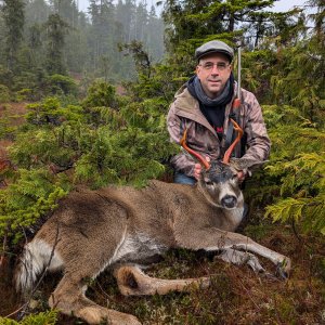 Sitka Blacktail Deer Hunt Prince of Wales Island