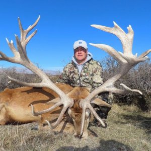 Red Stag Hunt New Zealand