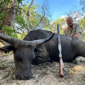 Media 'Banteng Hunt Australia' in category 'Hunting Worldwide'