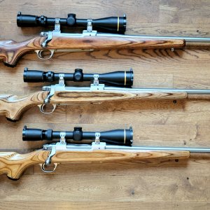 Hunting Rifles