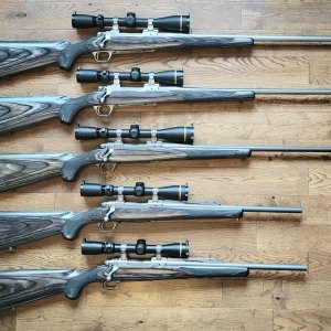 Ruger M77 Mark II Stainless Rifles