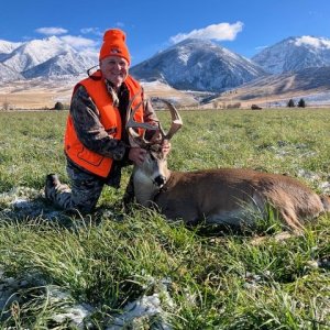 Hunting Whitetail Deer Montana