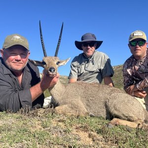 Grey Rhebok Hunt Eastern Cape South Africa