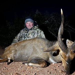 Bushbuck Hunt Eastern Cape South Africa