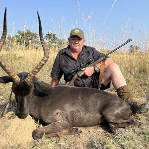 Black Impala Hunt Eastern Cape South Africa