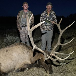 Elk Hunt Colorado