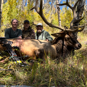 Elk Bow Hunt Colorado