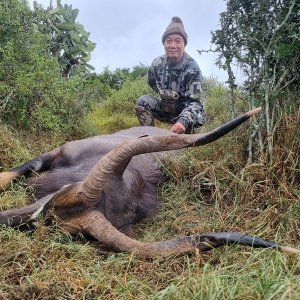 Nyala Hunting Eastern Cape South Africa