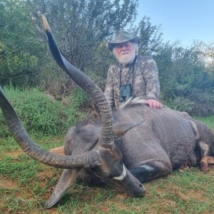 Nyala Hunting Eastern Cape South Africa