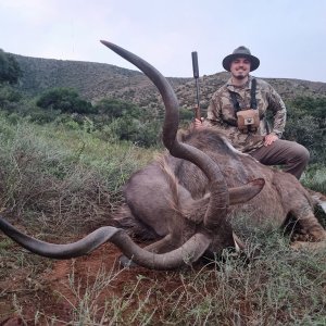 Kudu Hunting Eastern Cape South Africa