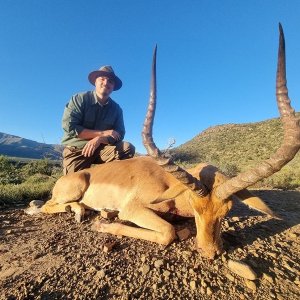 Impala Hunting Eastern Cape South Africa