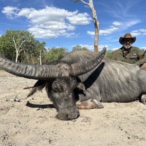 Water Buffalo Hunting Australia