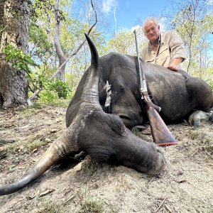 Banteng Hunting Australia