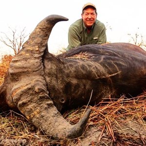 Western Buffalo Hunt Cameroon