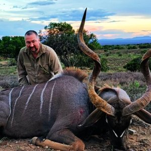 Kudu Hunt Eastern Cape South Africa