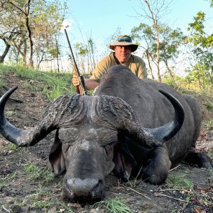 Cape Buffalo Hunt Mozambique