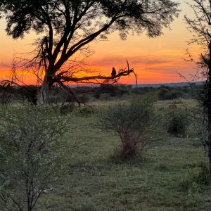 Nature Mozambique