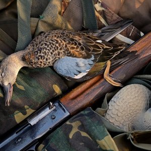 Bird Hunting Rifle