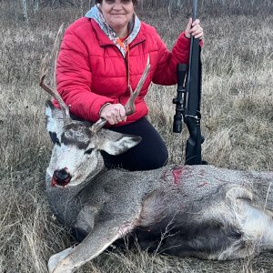 Mule Deer Hunt Canada