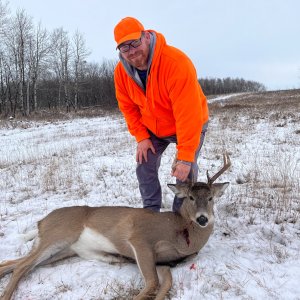 Whitetail Deer Hunt Canada