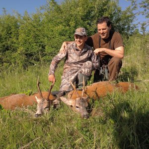 Roe Deer Hunting Romania