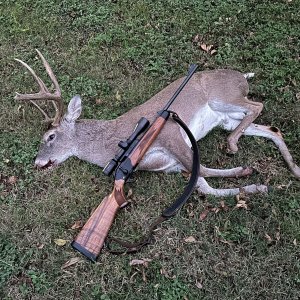 Whitetail Deer Hunt Texas