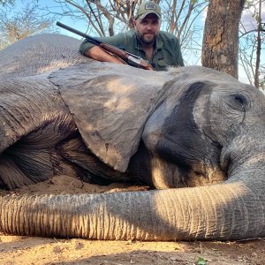 Elephant Hunt Zimbabwe