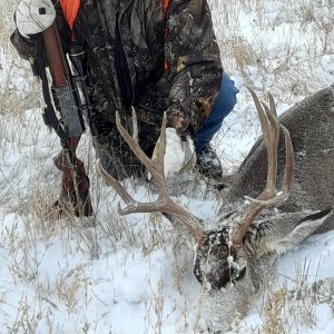 Hunting Mule Deer