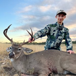 Whitetail Deer Hunt Texas