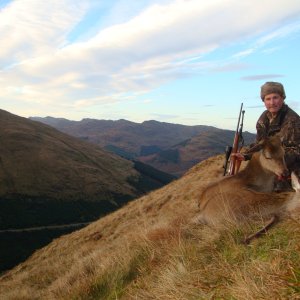 Red Deer Hunt United Kingdom