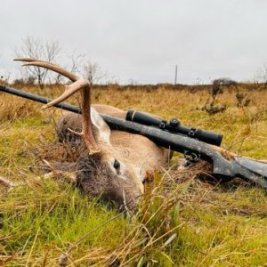 Hunting Deer Northern Texas