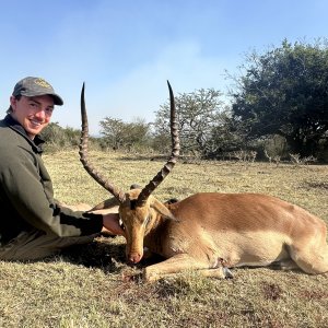 Impala Hunt Eastern Cape South Africa