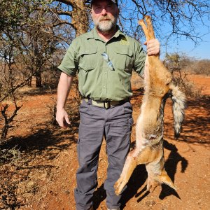 Jackal Hunt South Africa